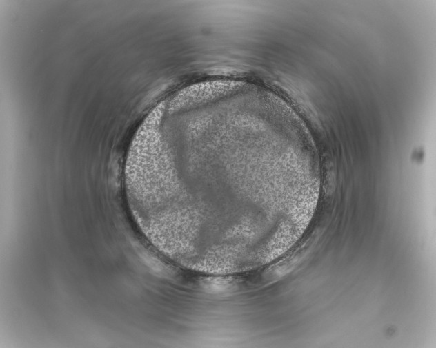 X0000093580273200711121108