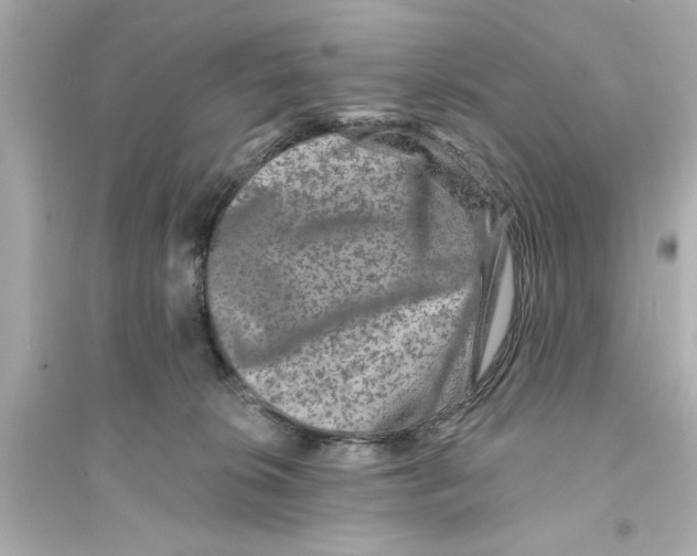 X0000093580276200711121108