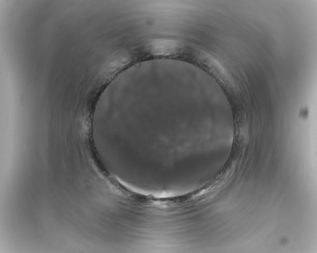 X0000093580277200711121108