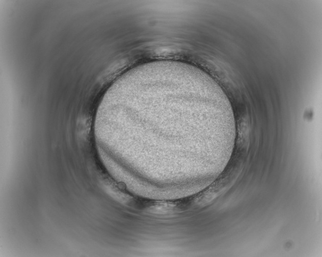 X0000093580278200711121108