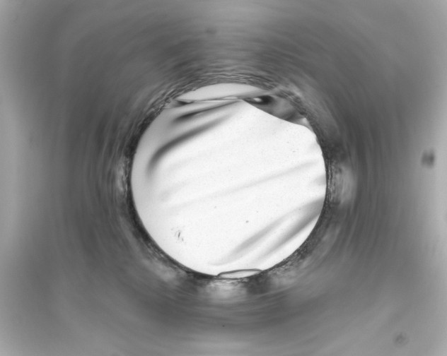 X0000093580280200711121108