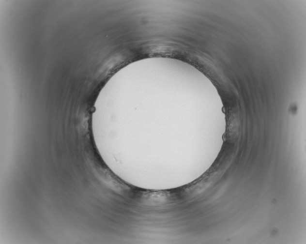 X0000093580282200711121108