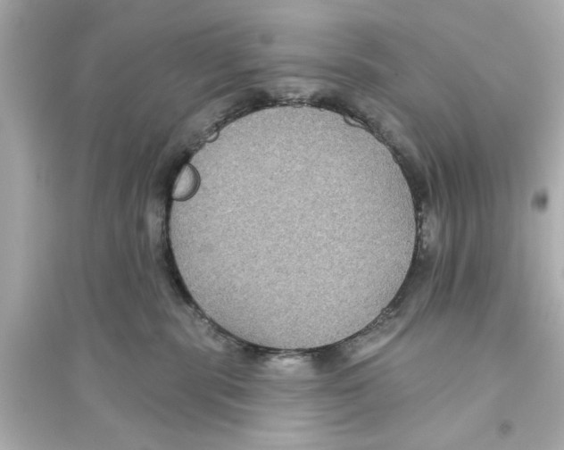 X0000093580283200711121108