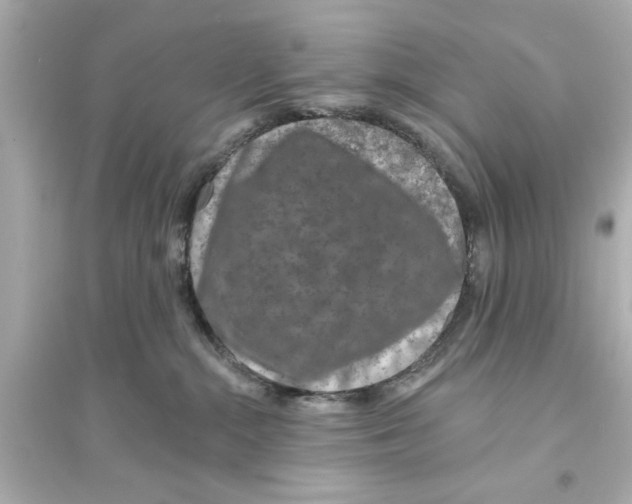 X0000093580284200711121108