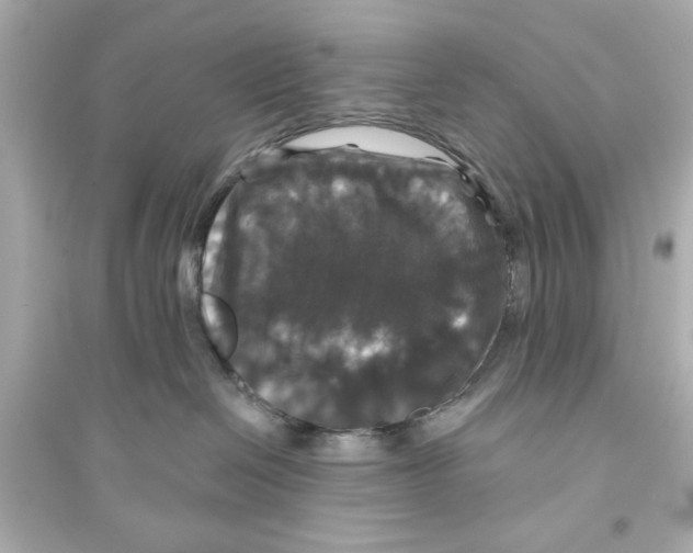 X0000093580286200711121108