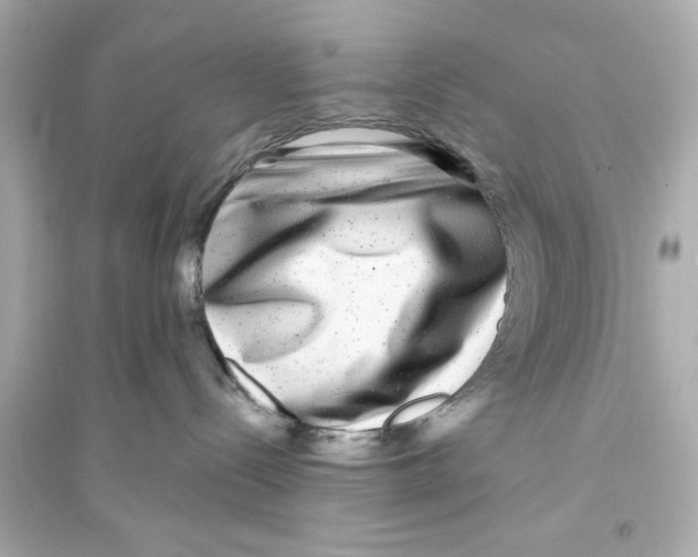 X0000093580288200711121108