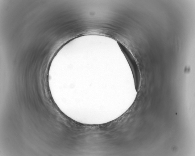 X0000093580289200711121107