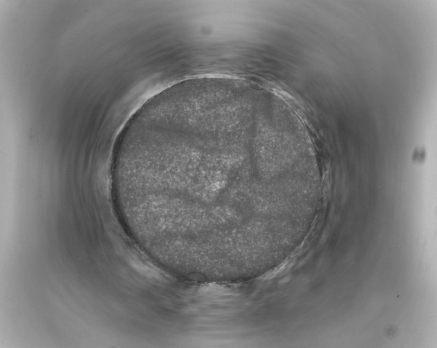 X0000093580290200711121107