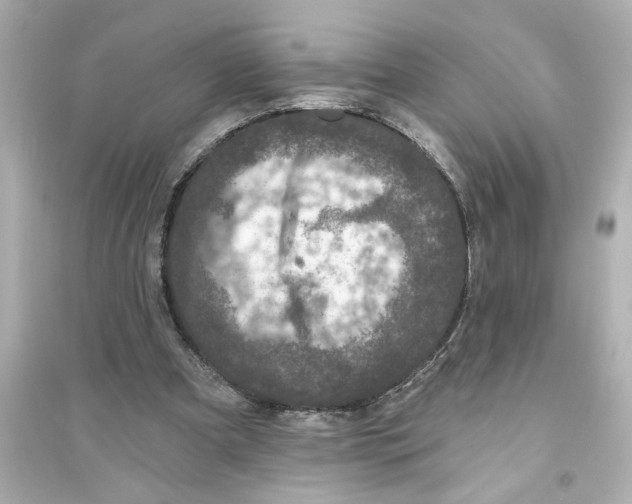 X0000093580297200711121107