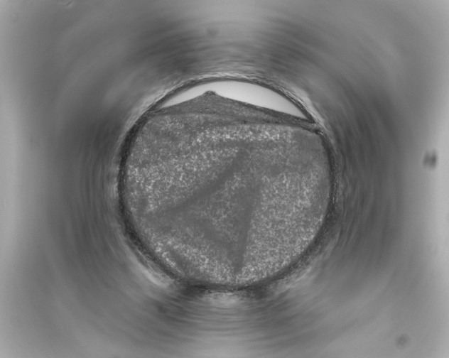 X0000093580299200711121107