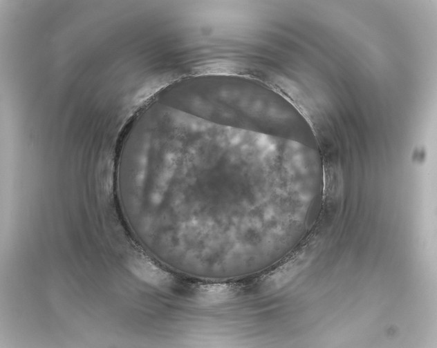 X0000093580301200711121107