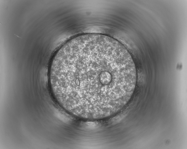 X0000093580302200711121107