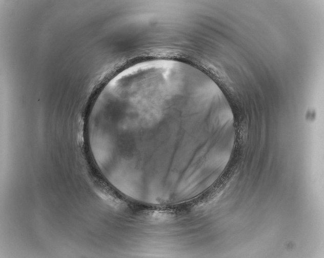 X0000093580303200711121107