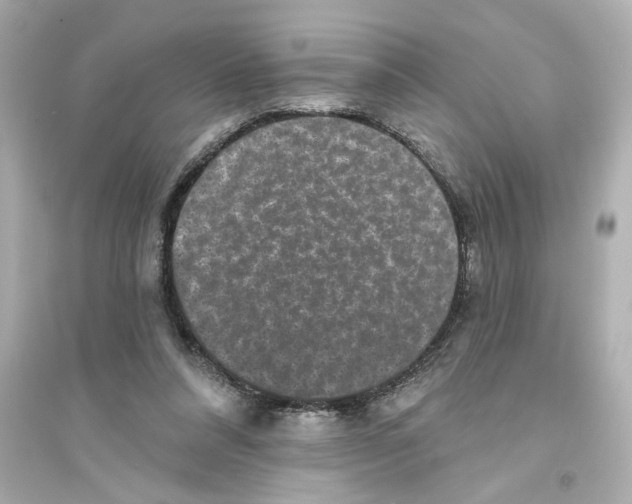 X0000093580304200711121107