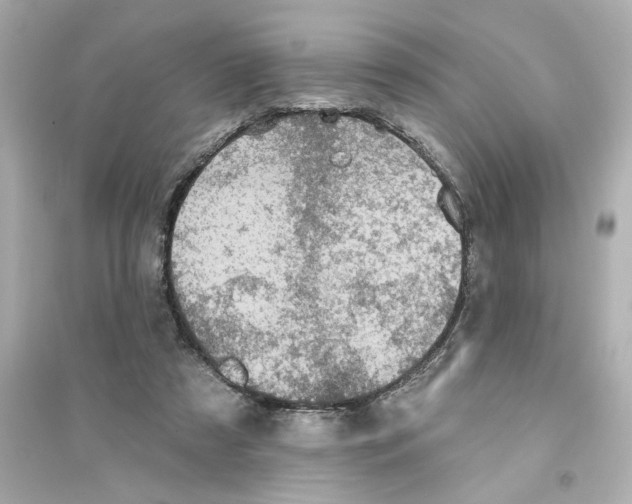 X0000093580305200711121107