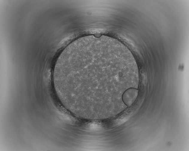 X0000093580308200711121107