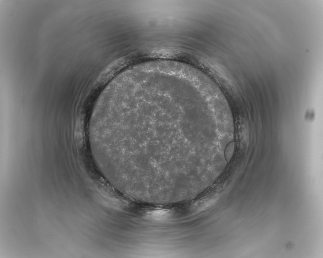 X0000093580312200711121107