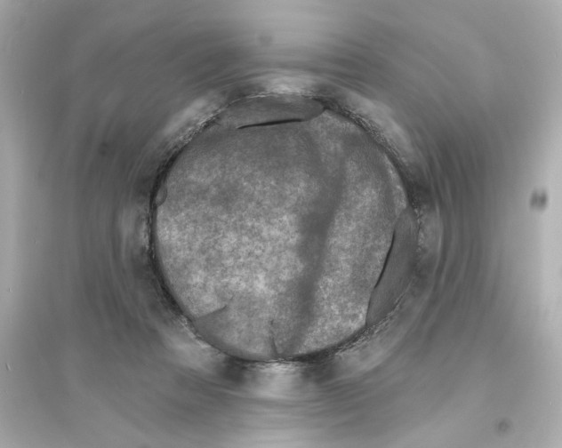 X0000093580313200711121107