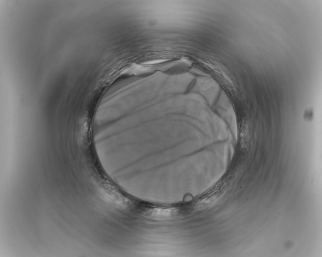 X0000093580314200711121107