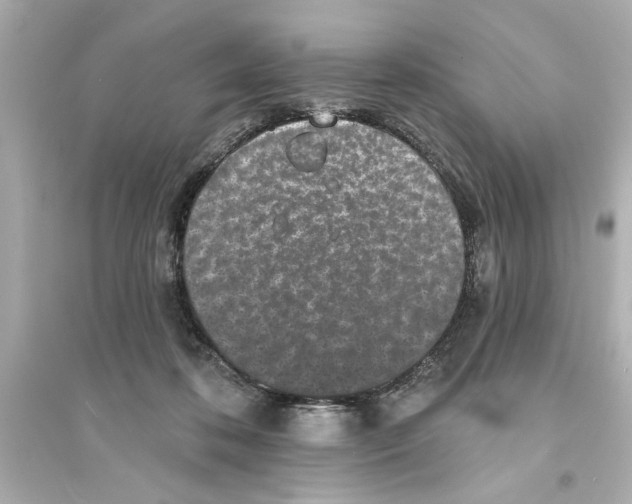 X0000093580316200711121107