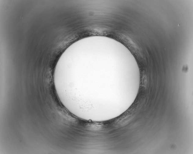 X0000093580318200711121106