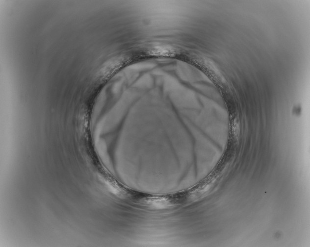 X0000093580322200711121106