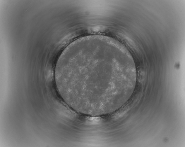 X0000093580324200711121106