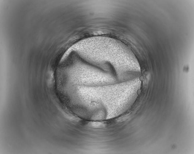 X0000093580327200711121106