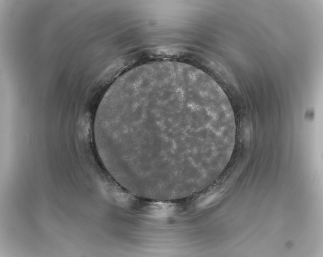 X0000093580328200711121106