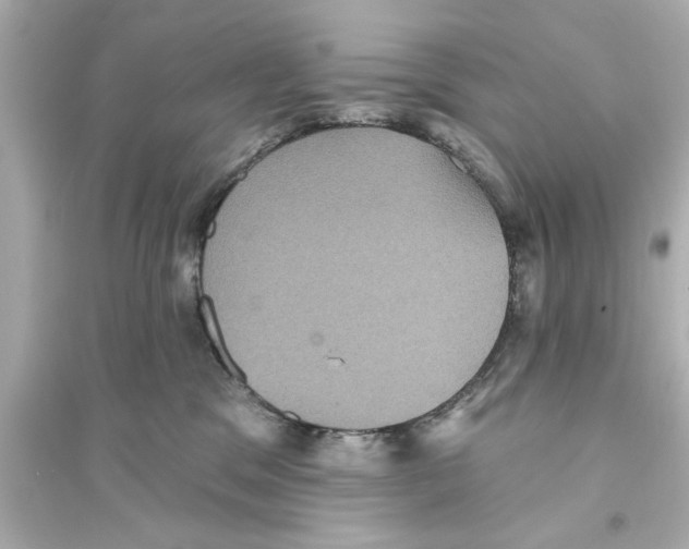 X0000093580329200711121106