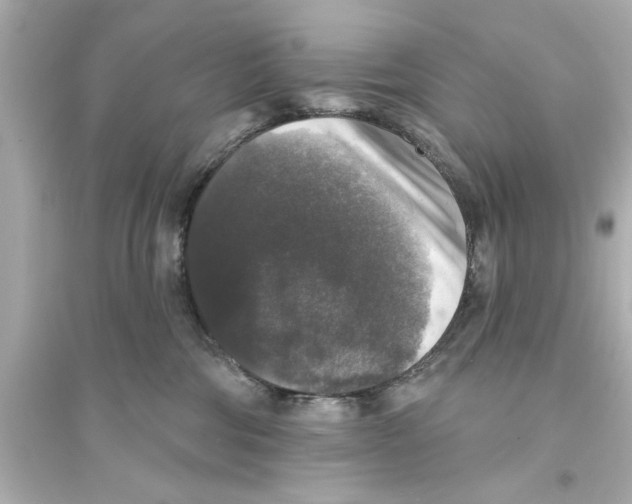 X0000093580330200711121106