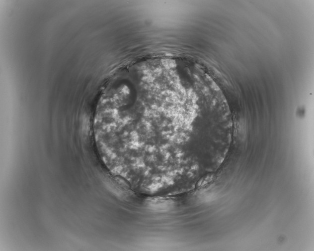 X0000093580331200711121106