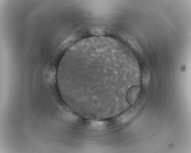 X0000093580332200711121106