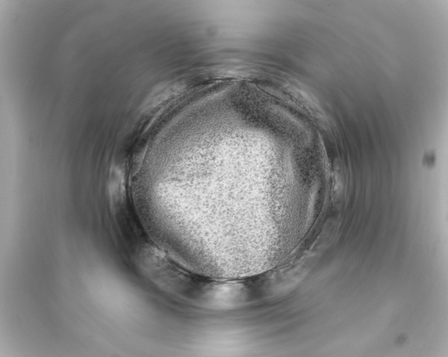 X0000093580333200711121106