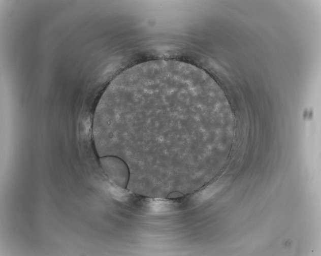 X0000093580336200711121106