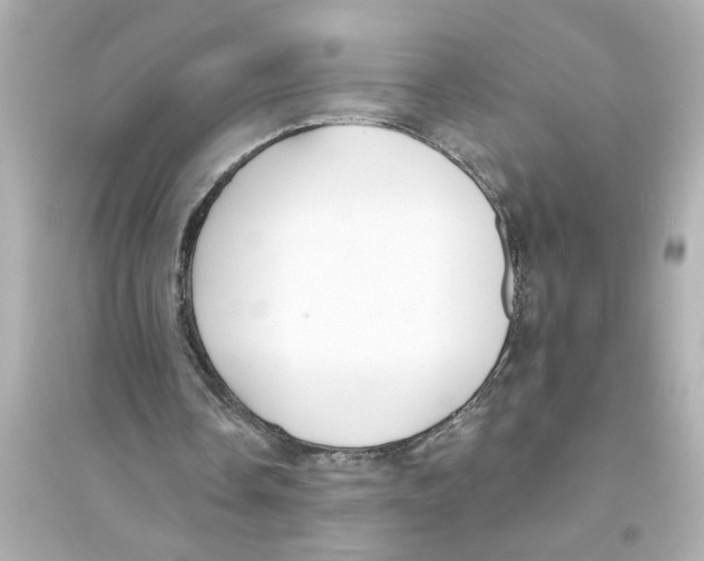 X0000093580338200711121106