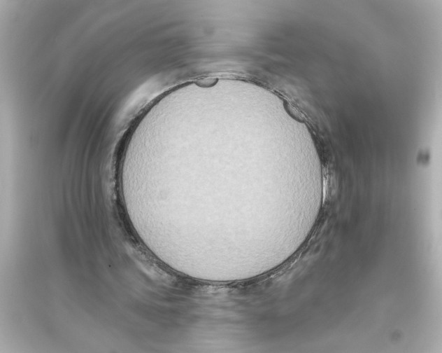 X0000093580339200711121106