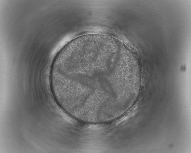 X0000093580341200711121106