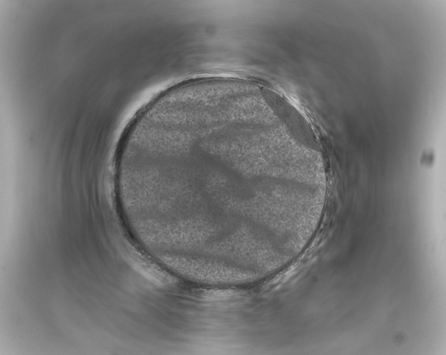 X0000093580342200711121106