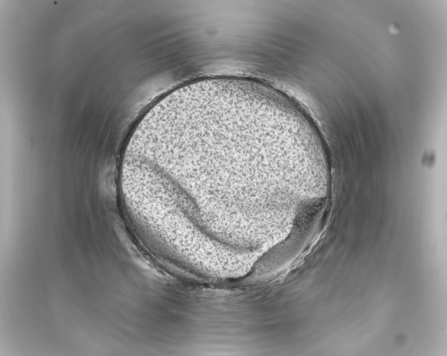 X0000093580345200711121106