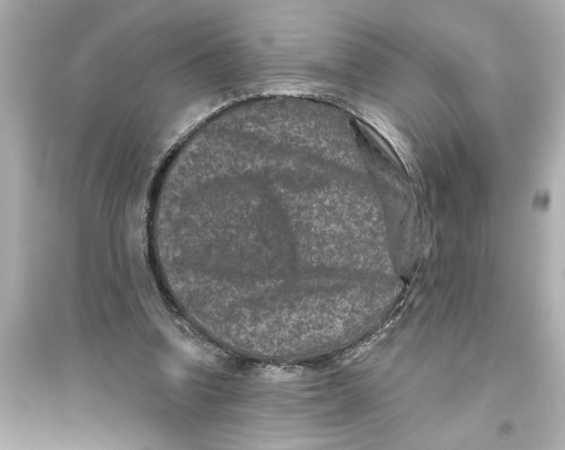 X0000093580346200711121106