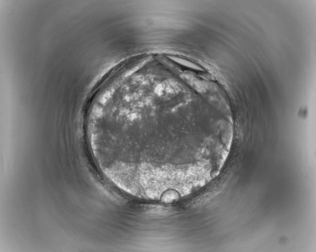 X0000093580347200711121106