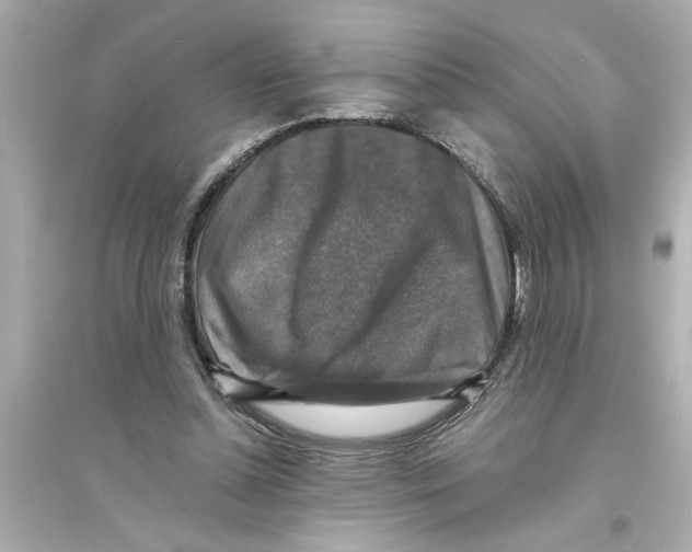 X0000093580348200711121106