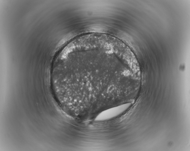 X0000093580349200711121106