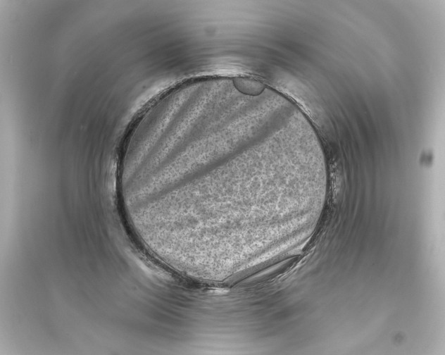 X0000093580350200711121106