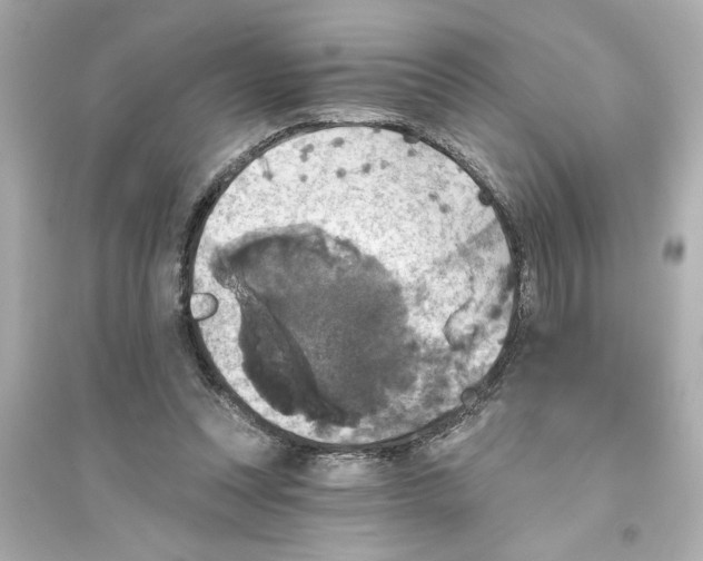 X0000093580351200711121106