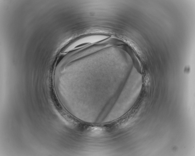 X0000093580352200711121106