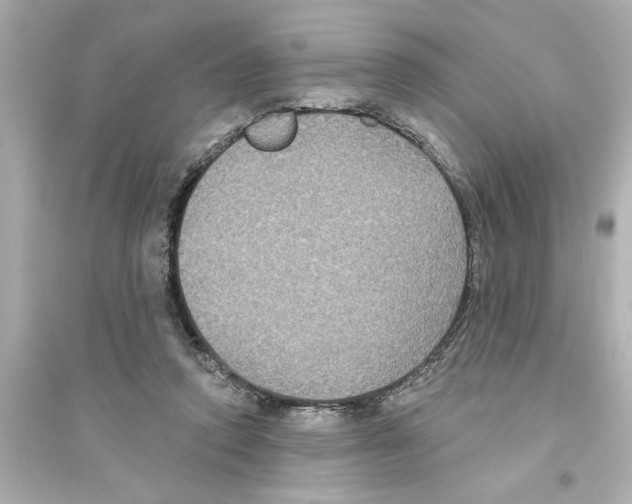 X0000093580354200711121106