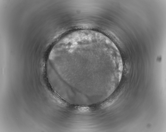 X0000093580355200711121106