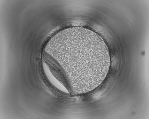 X0000093580356200711121106